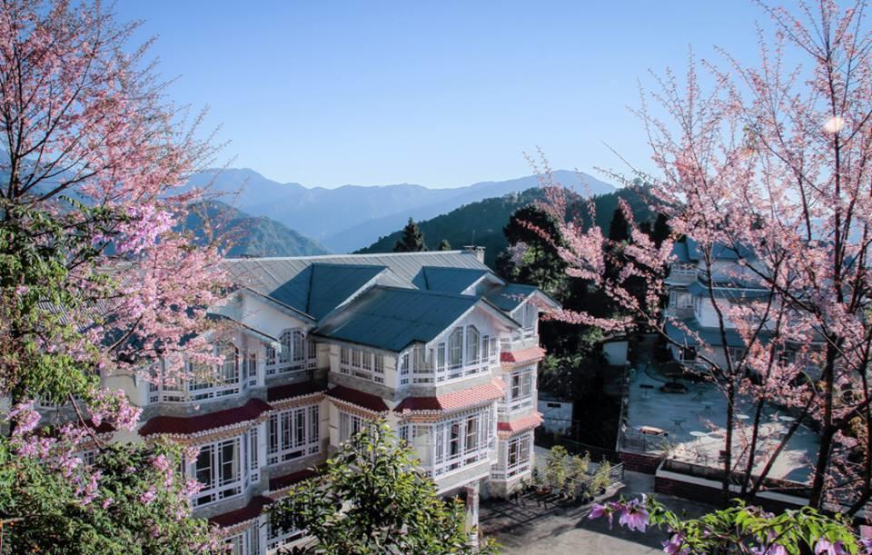 Norbu Ghangh Retreat & Spa Pemayangtse מראה חיצוני תמונה